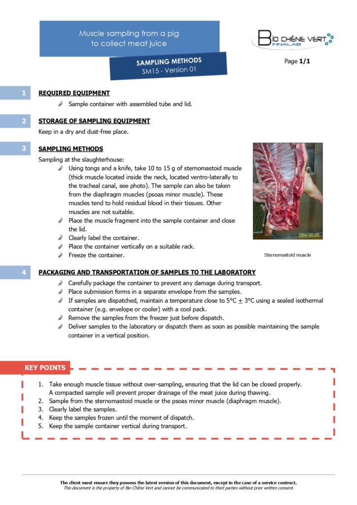 Sampling methods - Muscle sampling from a pig to collect meat juice