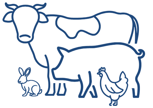 Santé animale